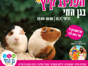 הפנינג קיץ